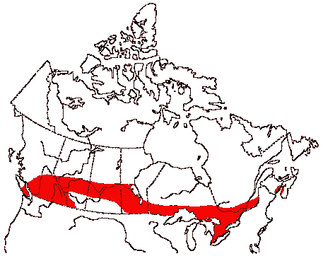 Map of Cooper's Hawk in Canada