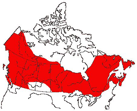 Map of Northern Goshawk in Canada