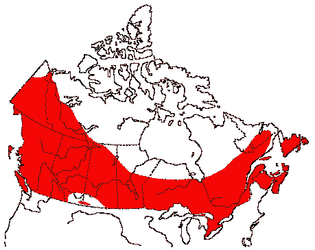Map of Sharp-shinned Hawk in Canada
