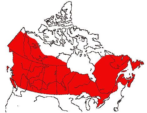 Map of Spotted Sandpiper in Canada