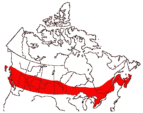 Map of Northern Saw-whet Owl in Canada