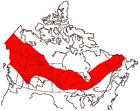 Map of Boreal Owl in Canada