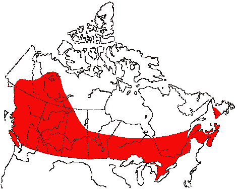 Map of Red-winged Blackbird in Canada