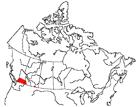 Canadian Cordillera Map