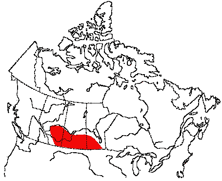 Map of Baird's Sparrow in Canada