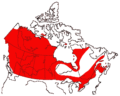 Map of Northern Pintail in Canada