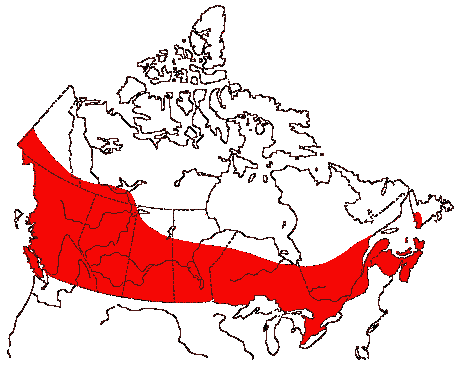 Map of Blue-winged Teal in Canada
