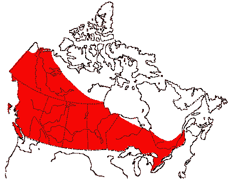 Map of Mallard in Canada
