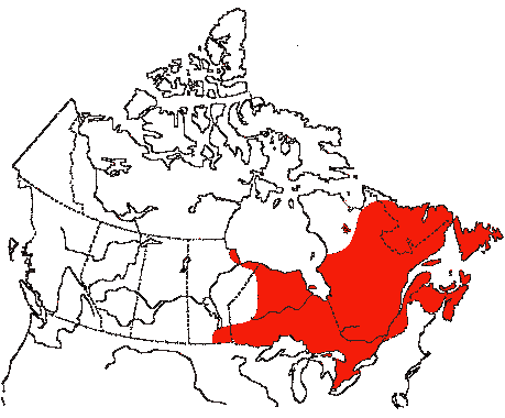 Map of American Black Duck in Canada