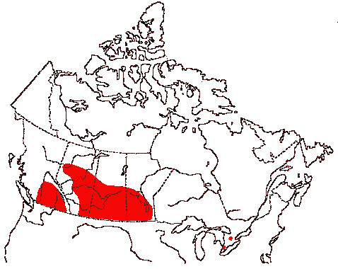 Map of Gadwall in Canada