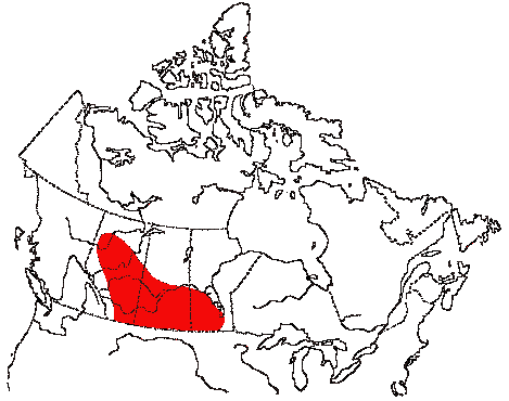 Map of Sprague's Pipit in Canada