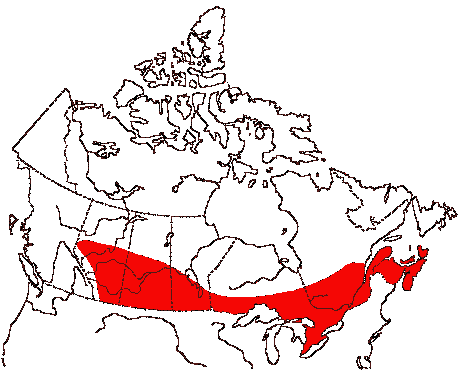 Map of Ruby-throated Hummingbird in Canada