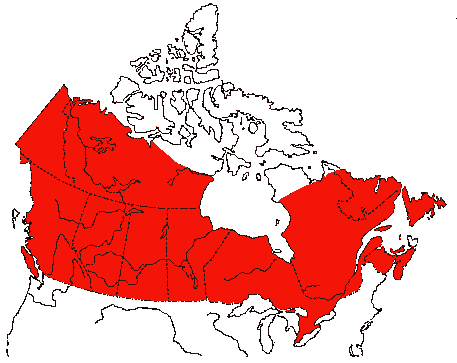 Map of Short-eared Owl in Canada