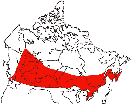 Map of Long-eared Owl in Canada