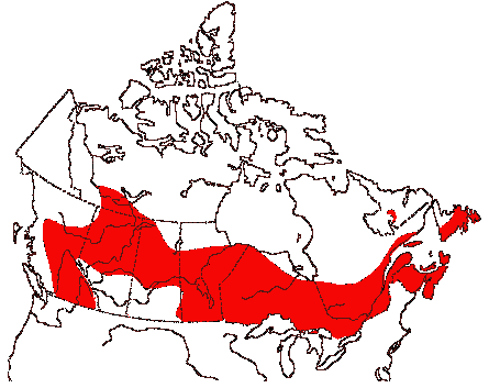 Map of Ring-necked Duck in Canada