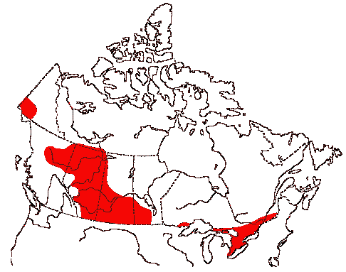 Map of Upland Sandpiper in Canada
