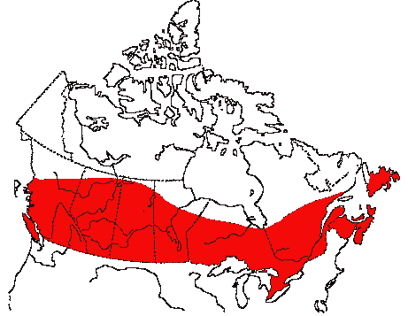 Map of Cedar Waxwing in Canada