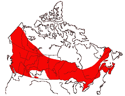Map of Ruffed Grouse in Canada