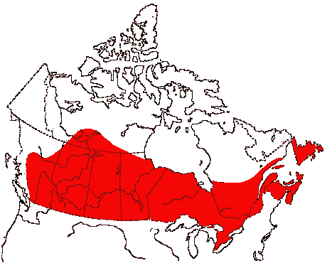 Map of American Bittern in Canada