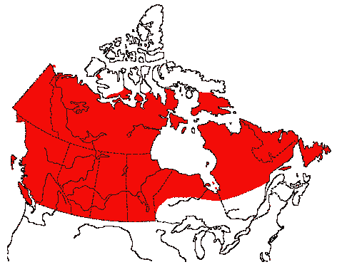 Map of Canada Goose in Canada