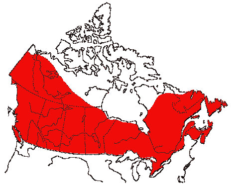 Map of Great Horned Owl in Canada