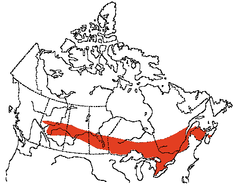 Map of Broad-winged Hawk in Canada