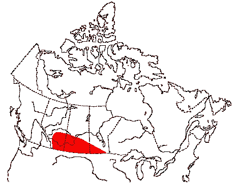 Map of Ferruginous Hawk in Canada
