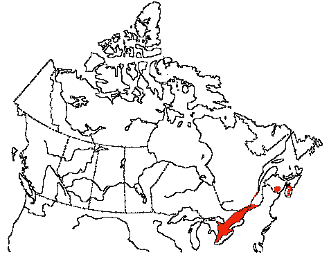 Map of Green-backed Heron in Canada