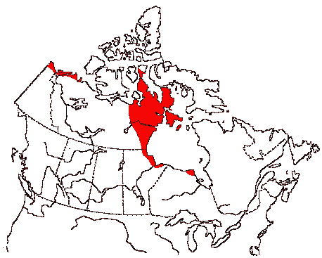Map of Dunlin in Canada