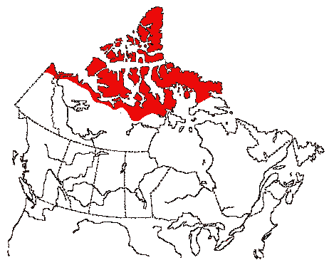 Map of Baird's Sandpiper in Canada