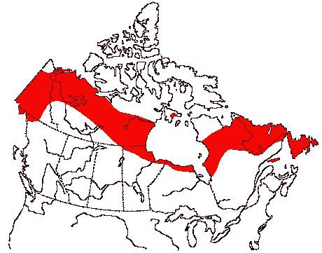 Map of Least Sandpiper in Canada