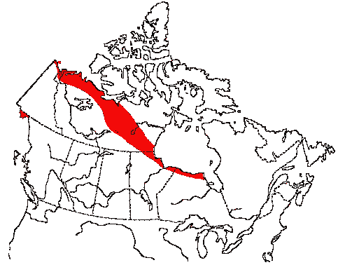 Map of Smith's Longspur in Canada