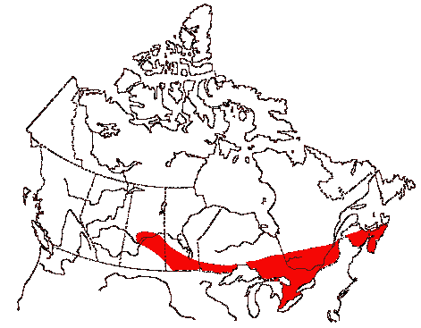 Map of Whip-poor-will in Canada