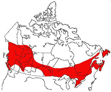 Map of Purple Finch in Canada