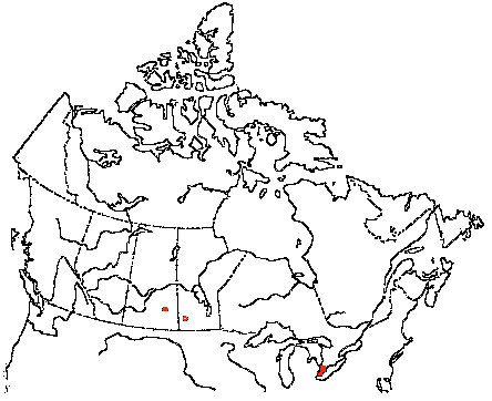 Map of Great Egret in Canada