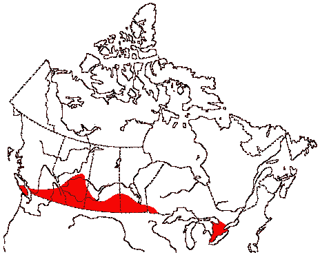 Map of Turkey Vulture in Canada
