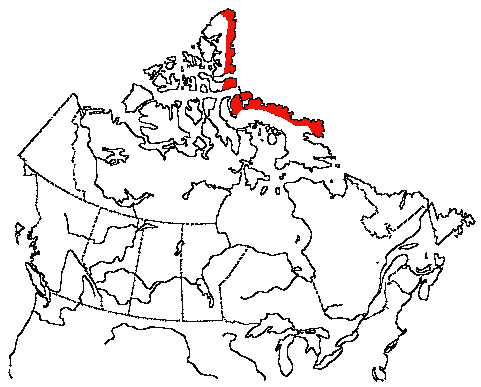 Map of Common Ringed Plover in Canada