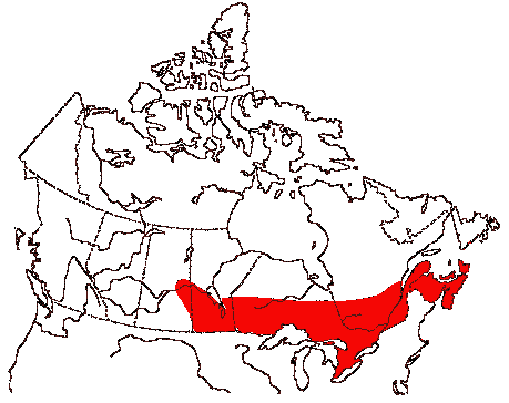 Map of Chimmey Swift in Canada