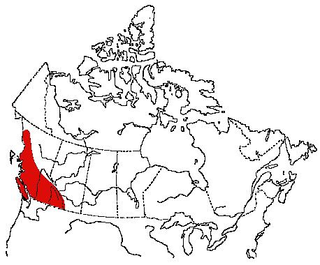 Map of Vaux's Swift in Canada