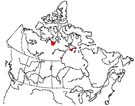 Map of Ross' Goose in Canada
