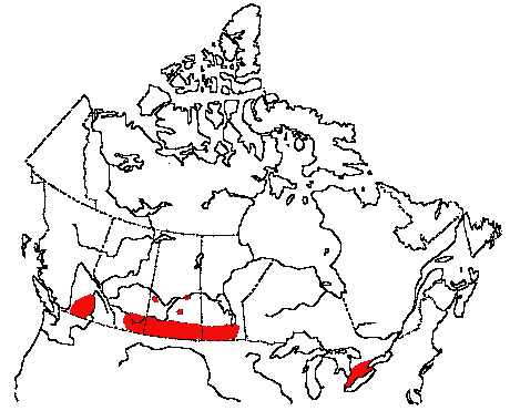 Map of Lark Sparrow in Canada