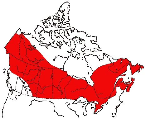 Map of Northern Flicker in Canada