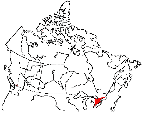 Map of Northern Bobwhite in Canada