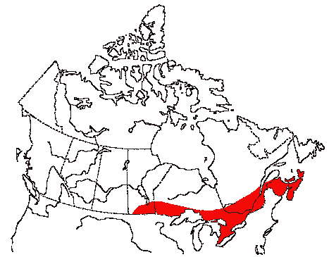 Map of Eastern Wood-Pewee in Canada