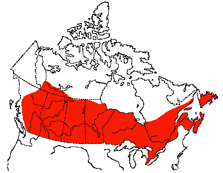 Map of Common Crow in Canada
