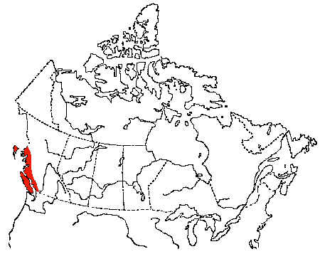 Map of Northwestern Crow in Canada