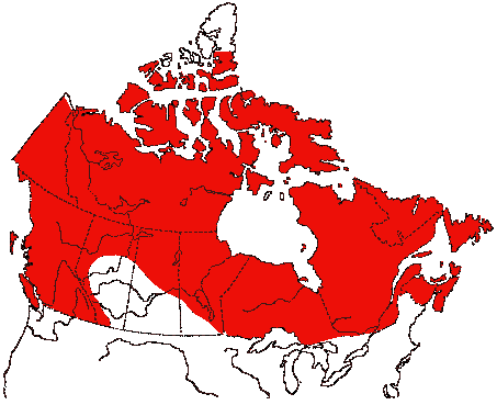 Map of Common Raven in Canada