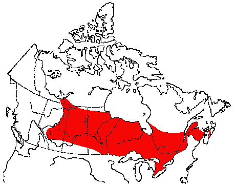 Map of Yellow Rail in Canada