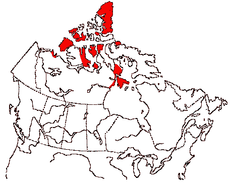 Map of Sanderling in Canada