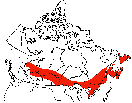 Map of Blue Jay in Canada